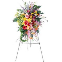 Envio y venta de flores ,rosas, plantas,arreglos florales ,regalos y desayunos a domicilio con delivery gratis en la Ciudad Autonoma de Buenos Aires y con costo de env�o en localidades del Gran Buenos Aires asi como delivery de flores y plantas a trav�s de florerias asociadas en todas las provincias de la Argentina, Buenos Aires, la Pampa, Tucuman, La Rioja, R�o Negro, Entre Rios, Corrientes, Misiones, Neuquen, Chubut, Tierra del Fuego, Santa Cruz, San Luis, Mendoza, Cordoba, Jujuy, Formosa, Santiago del Estero, Salta, Chaco, Catamarca ,San Juan, y ademas realizamos el delivery de flores ,coronas,palmas , plantas y regalos a todas las ciudades de Argentina, Mar del Plata, C�rdoba, Buenos Aires, con cargo en Santa Rosa, La Plata, Bella Vista, Neuquen, Pilar, Paran�, Posadas, Resistencia, Cipolleti y mas de 300 ciudades y localidades en todo el territorio de nuestro pa�s, asi como tambien tenemos la posibilidad de enviar flores a casi todo el mundo en cuestion de horas